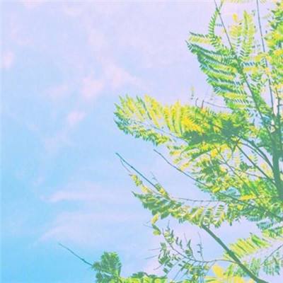 开元体育官网最新版截图